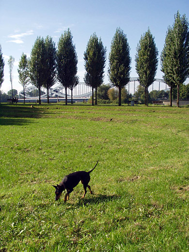 P1010036