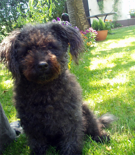 005juni2005