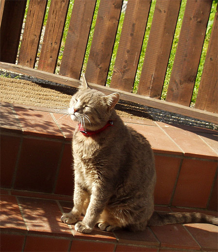 016juni2005