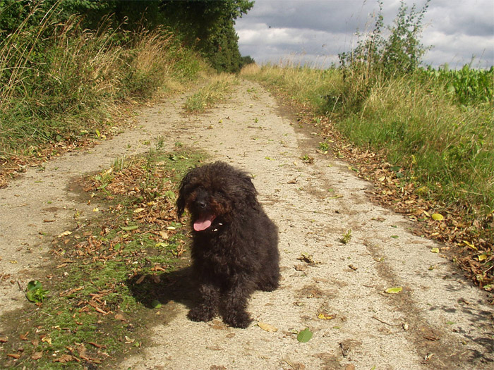 019august2004
