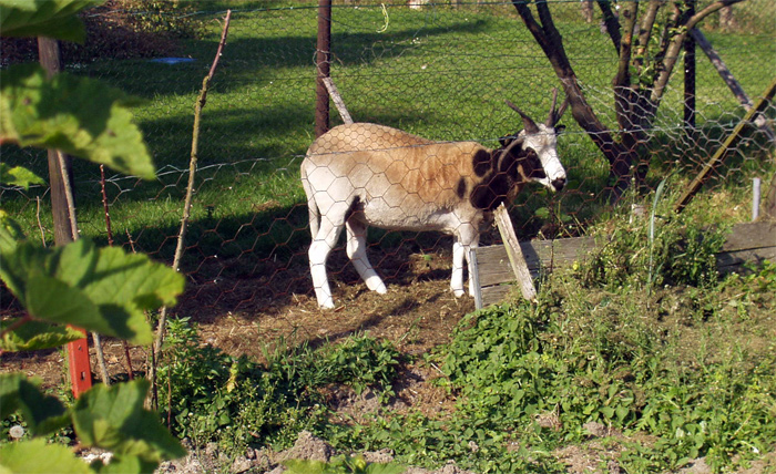 025juni2005