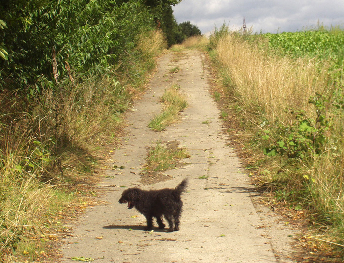 031august2004